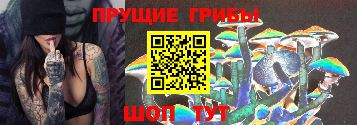 Псилоцибиновые грибы мухоморы  Вход с VPN  Норильск 